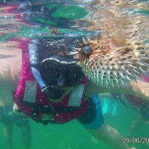 Meet your Posher, Argueta